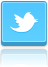 Kurs Twitter erfolgreich nutzen